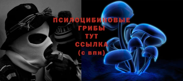 амф Алексин