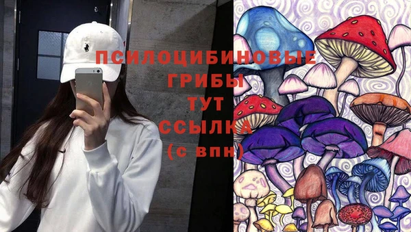 шишки Аркадак