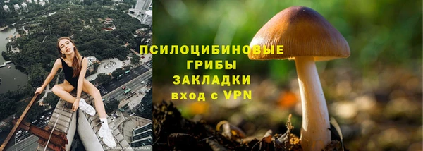 не бодяженный Арсеньев